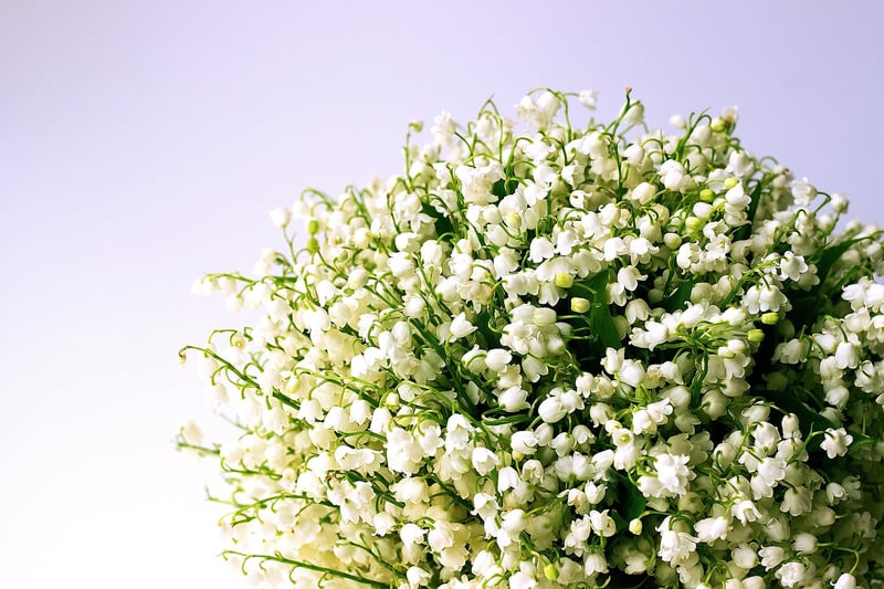 Floral Arrangements
